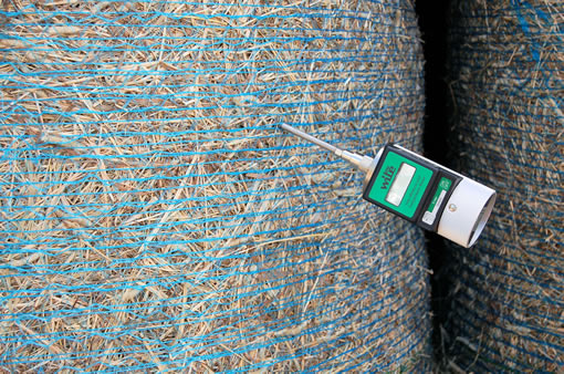 Датчик измерения влажности WILE 251