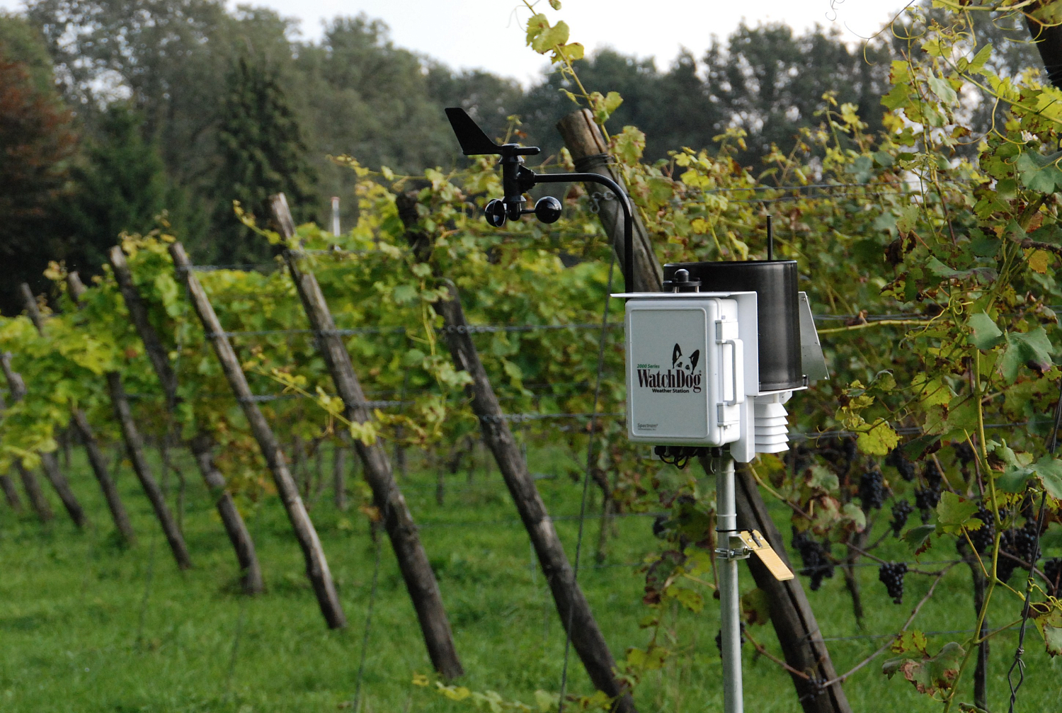 Метеостанция WatchDog 2900 ET