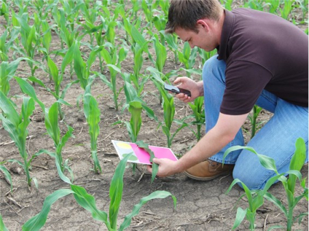 Система FieldScout GreenIndex+ 